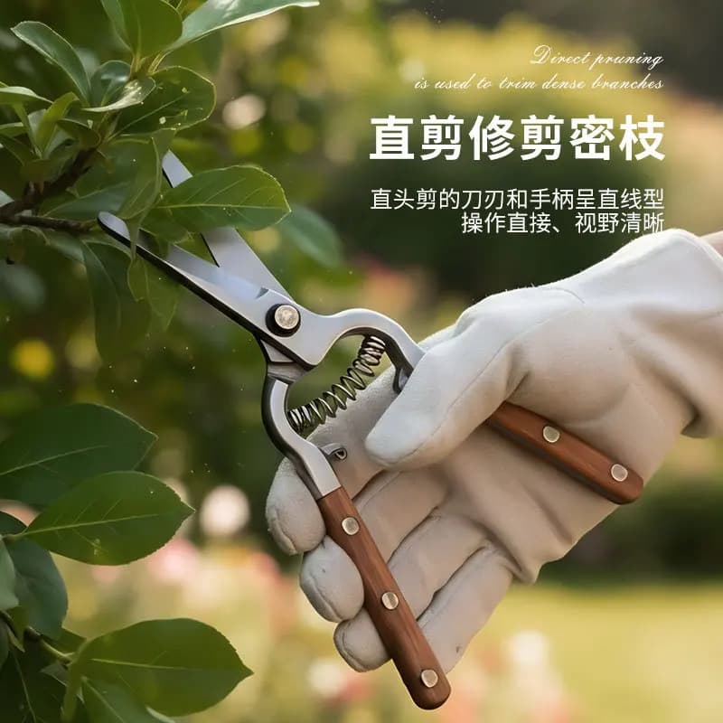 Stainless steel pruning shears Fruit trees shears Shears for outdoor fruit harvesting Vegetables Thin garden
