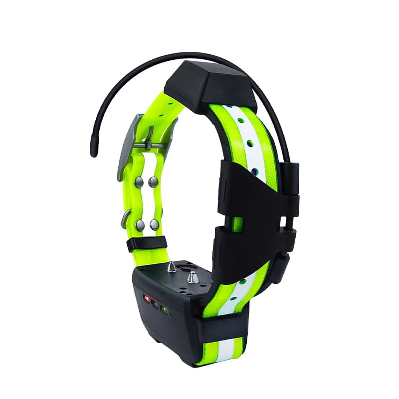 TR-dpg Hound Dog Sistema di localizzazione GPS per cani da caccia Collari elettronici