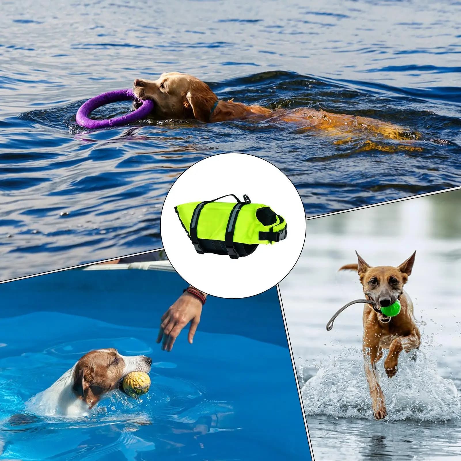 Giubbotto di salvataggio per cani Giubbotto di sicurezza per nuoto per cuccioli Giubbotto di salvataggio Costume da bagno con manici per tutte le razze Piscina da spiaggia all'aperto per cani di piccola taglia media
