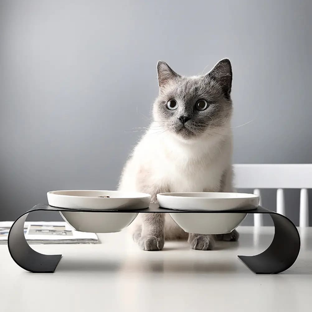 1Pcs Heightened Pet Bowl Ceramic Double Bowl Elevated Cat Feeder Iron Bracket Sturdy Food Water Dish Black White