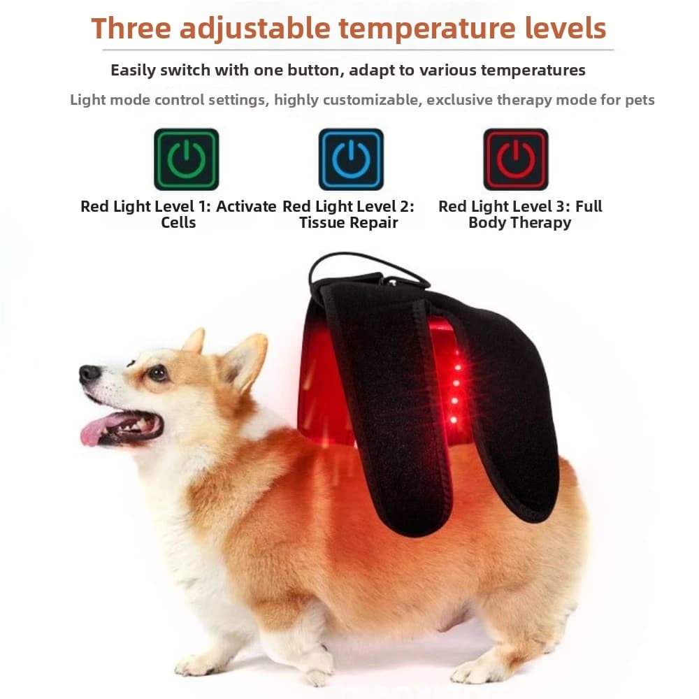 Dispositivo di Recupero Automatico per Animali Domestici con Luce Rossa, Sorgente LED per Alleviare il Disagio, Ginocchiera a Luce Infrarossa per Cani, Confortevole
