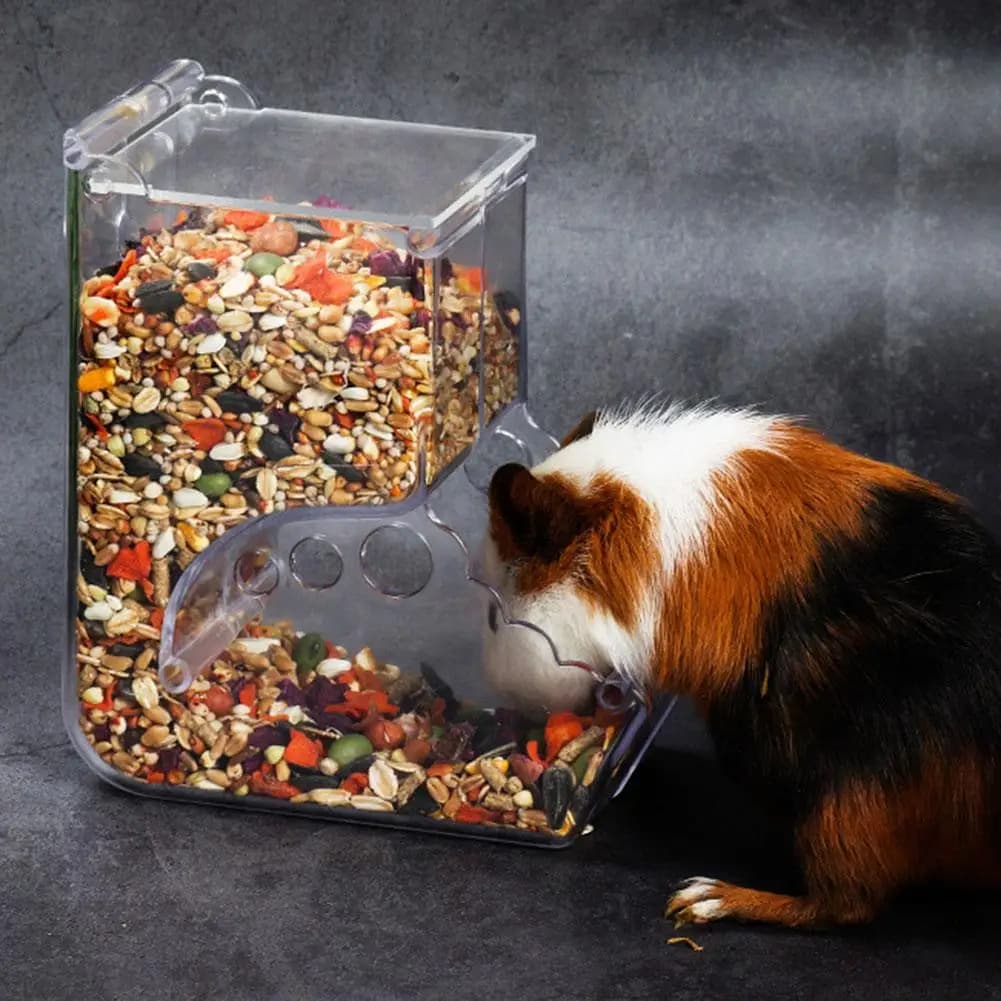 Dispenser Automatico Trasparente in Plastica per Cibo per Criceti e Coniglietti - Contenitore Ciotola per Mangime per Criceti e Porcellini d'India