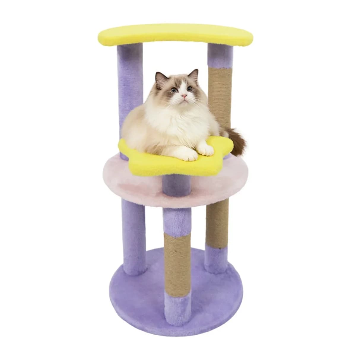 Albero per gatti Moon & Star da 29" con 4 livelli, tiragraffi in iuta e dispositivo antiribaltamento per gattini e adulti-Viola