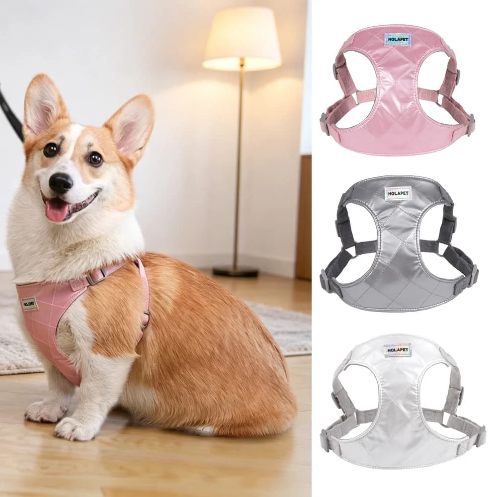 No Pull Dog Harness and Leash Set for Small Medium Dogs Cats Outdoor Puppy Adjustable Chest Strap French Bulldog Pet Supplies