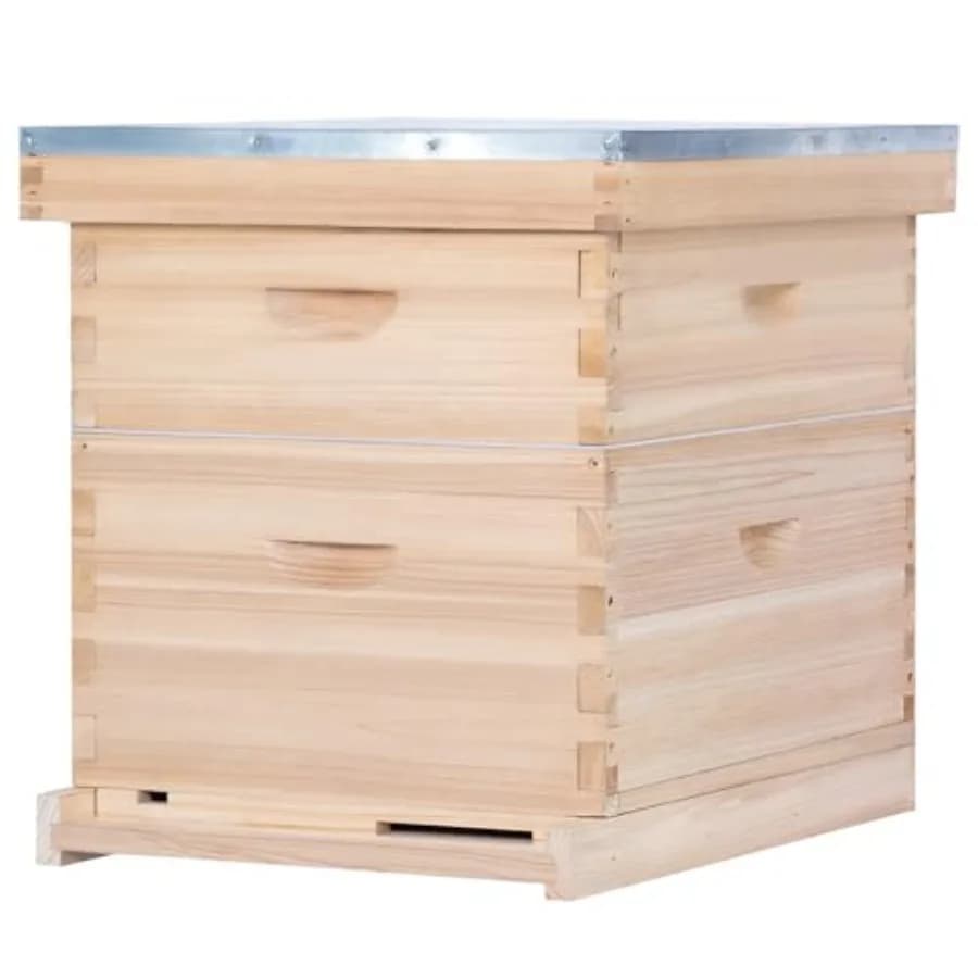 Kit per apicoltura principianti: arnia in legno con cassetta per alveoli profonda, telaini per arnia media e super, fogli di cera d'api, colore legno naturale