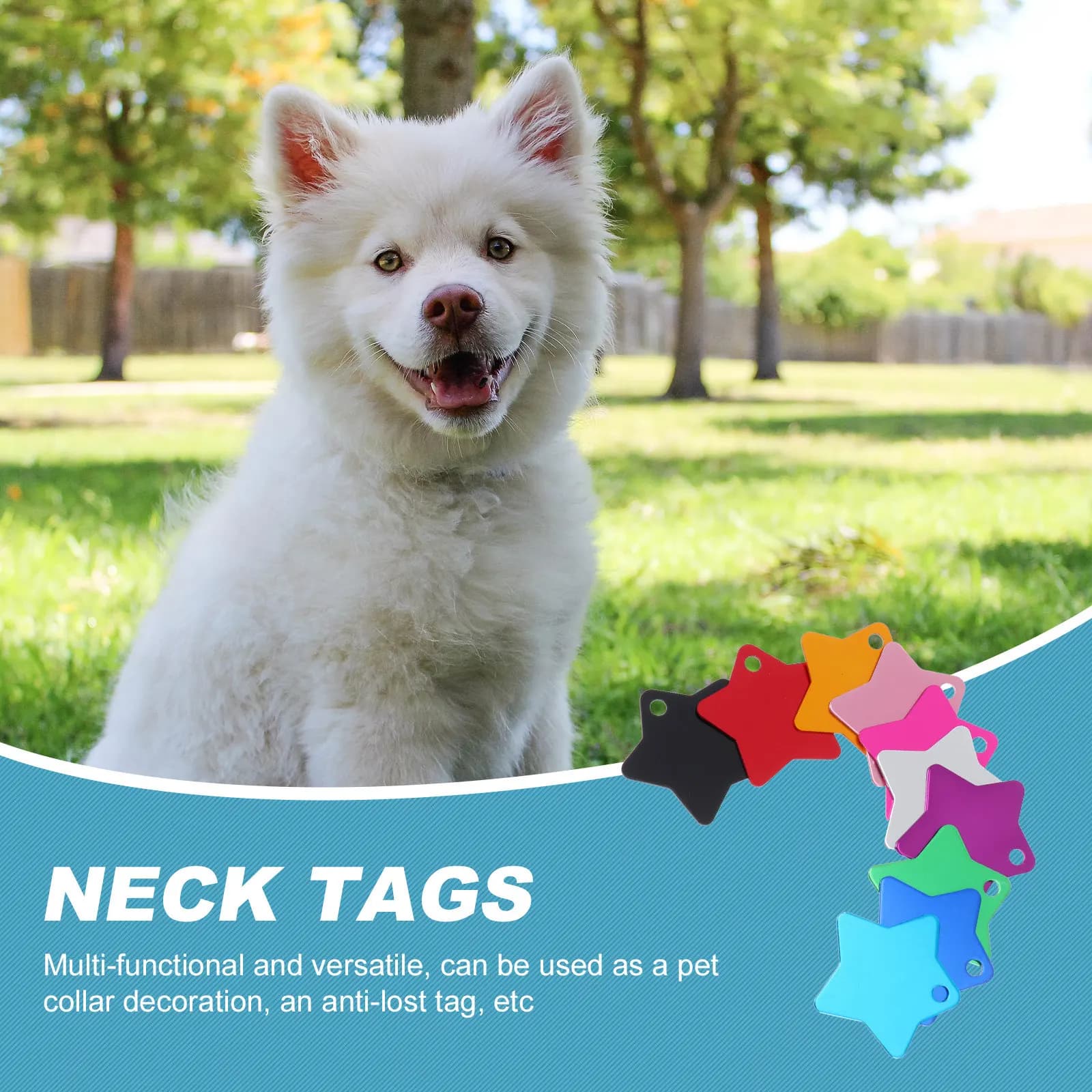 10 Pezzi Targhette Identificative per Animali Domestici a Forma di Stella, Colori Vivaci, Incise, Anti-Smarrimento, da Appendere per Cani, Gatti, Conigli, Ciondolo Personalizzato per Collare