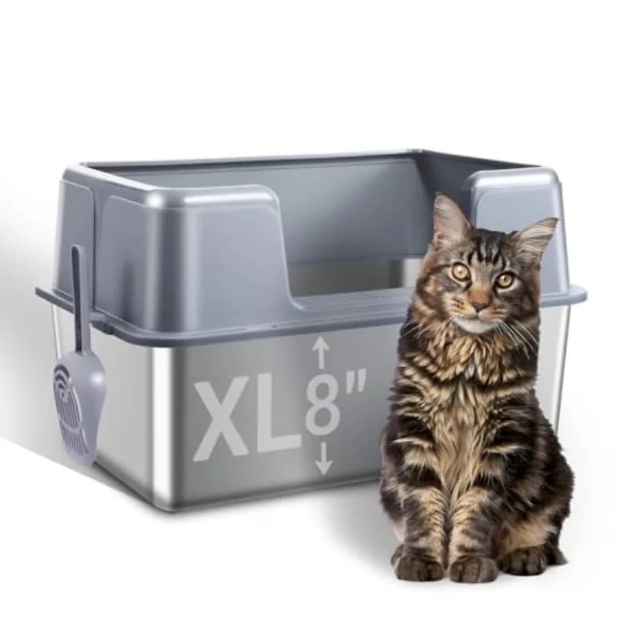 Lettiera per Gatti in Acciaio Inossidabile con Coperchio, 60 cm L x 40 cm L x 35 cm A, Lettiera XL in Metallo per Gatti Grandi, con Bordi Alti