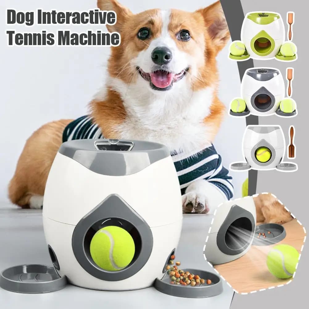 Lanciatore di palline interattivo per animali domestici Lanciatore di giocattoli Alimentatore lento Macchina per ricompensa alimentare da tennis per cani per gatti Gattino Cucciolo