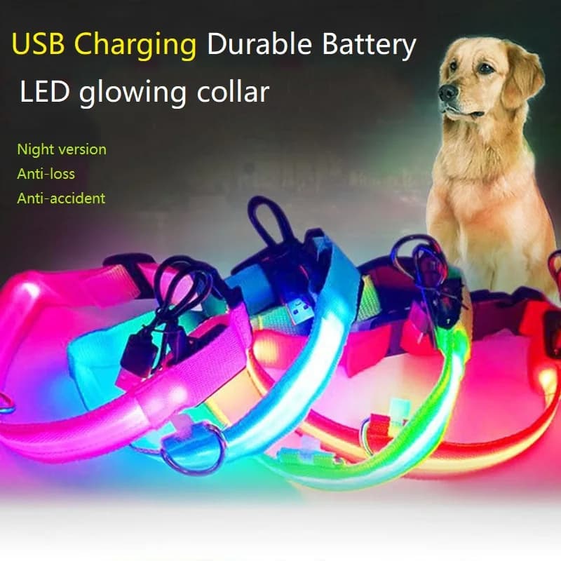 Nuovo collare per cani a LED di sicurezza notturna leggera per cani collare luminoso per gatti collare luminoso per cani GXQ01