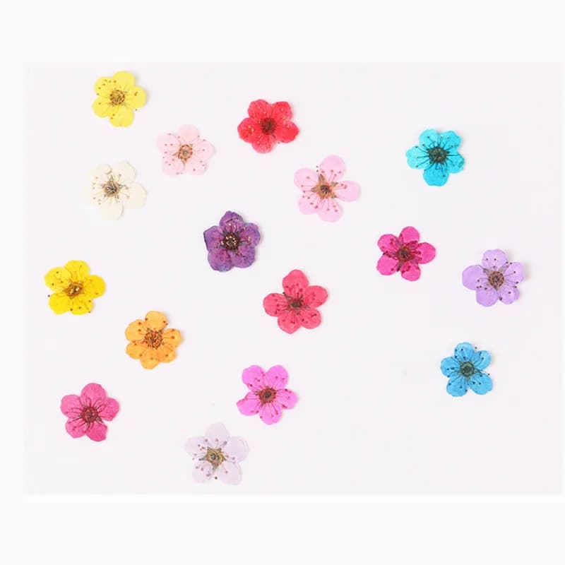 60 pz Mini Pressato Secco Narciso Jonquilla Fiore Pianta Herbario Per Gioielli In Resina Epossidica Segnalibro Cartolina Nailart Mestiere FAI DA TE
