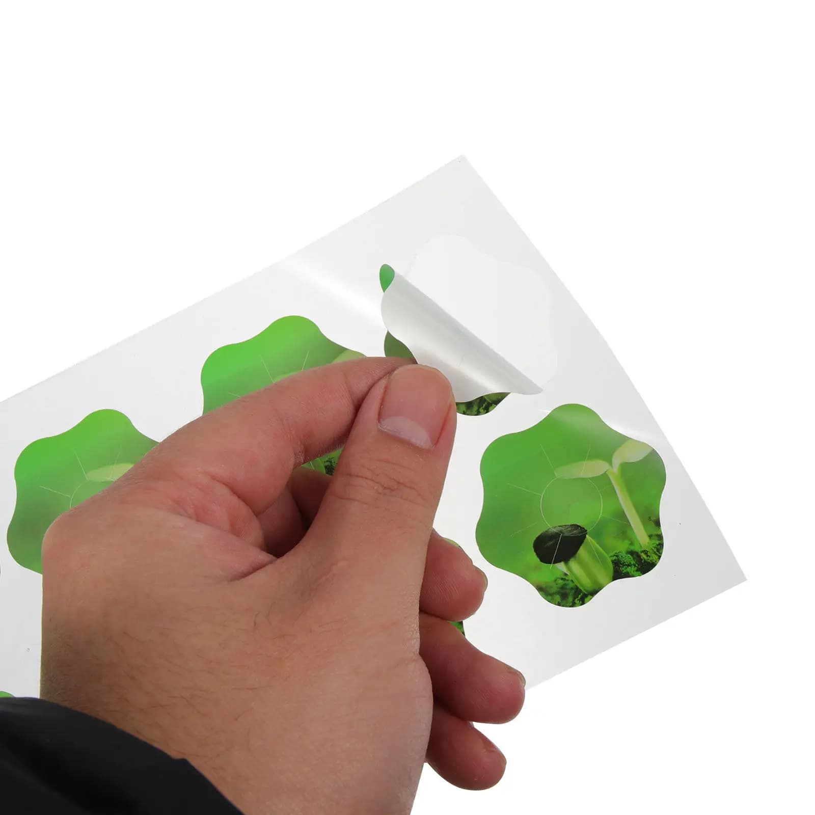 10 Fogli di Etichette Adesive in PVC a Lunga Durata per Vasi di Semi, Design Floreale, Etichette per Piante da Coltivazione Idroponica per Interni ed Esterni