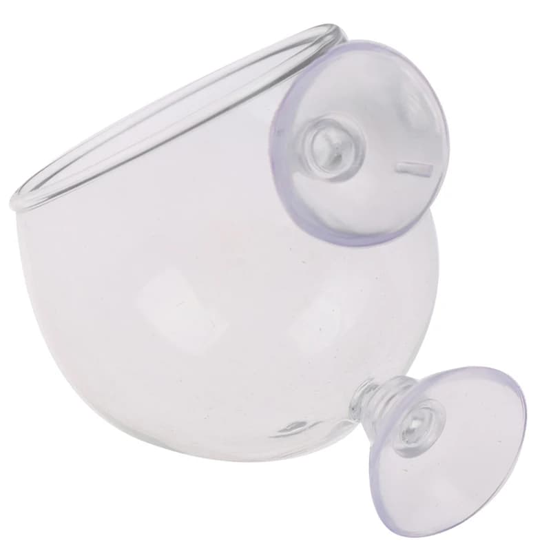 1 Pezzo Mini Vaso in Vetro Cristallo per Acquario, Cilindro per Piante Acquatiche, Decorazione per la Casa