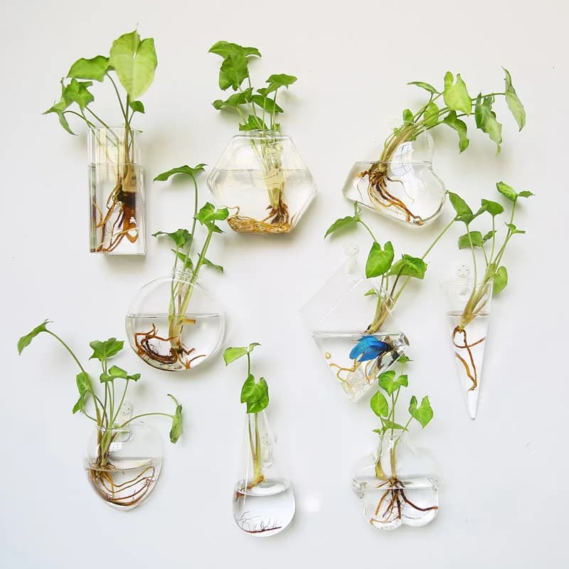 Terrario in vetro da appendere alla parete - Fioriera idroponica autoirrigante per l'arredamento dell'home office, fioriera idroponica in vetro e acquario