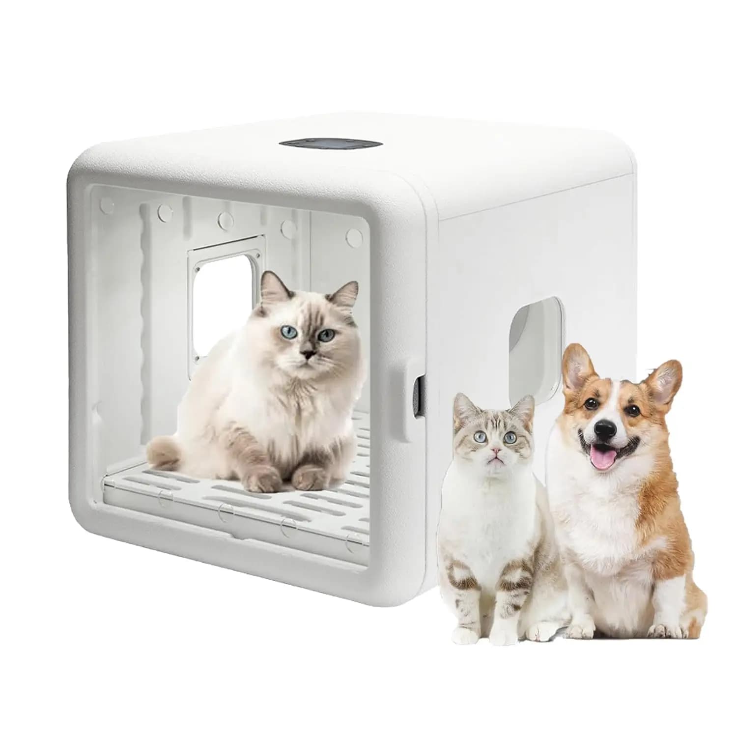 Asciugatrice per Animali Domestici 65L, Asciugatura Rapida ed Efficiente, Temperatura Regolabile, Silenziosa, per Gatti e Cani di Piccola Taglia, Personalizzabile
