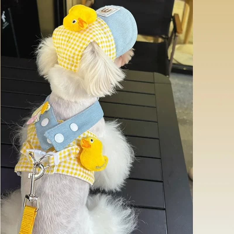 1/Set Corda metallica per animali domestici estiva Corda per tirare Cappello carino Tre pezzi Vestiti per gatti Set per tirare in uscita Set di imbracatura e guinzaglio per cani