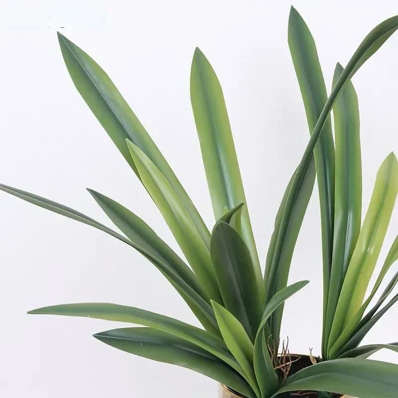 Foglie di Cymbidium artificiale Piante Matrimonio floreale Decorativo Gomma morbida Pianta verde Simulazione Clivia Leaf Decorazione dell'hotel