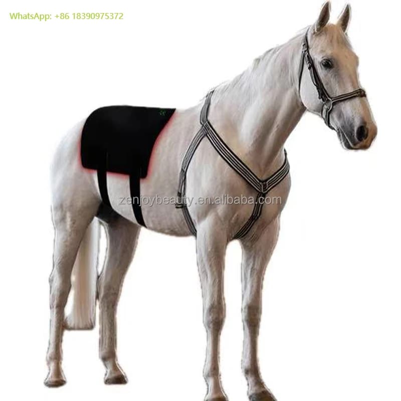 Cintura Terapeutica Portatile 2025 con Batteria Integrata per Cavalli, Terapia a Luce Rossa 660nm 850nm, Prodotti per il Sollievo dal Dolore Equino