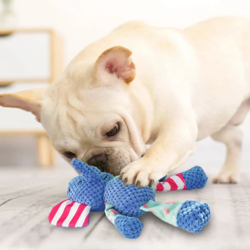 Giocattolo Interattivo in Peluche per Gatti e Cani - Simpatico Giocattolo Sonoro Resistente ai Morsi per la Pulizia dei Denti - Accessori per Animali Domestici