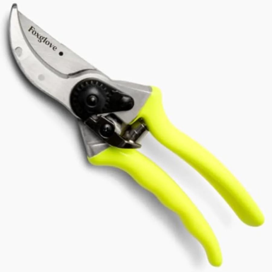 Forbici da Potatura Foxglove Professionali e Cesoie Manuali Bypass con Lame in Acciaio Giapponese SK5 ad Alto Contenuto di Carbonio per Lavori Pesanti