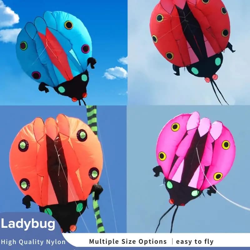 Grande aquilone da bucato con linea coccinella, aquilone da esterno a linea singola in nylon ripstop gonfiabile morbido da 2-110 mq