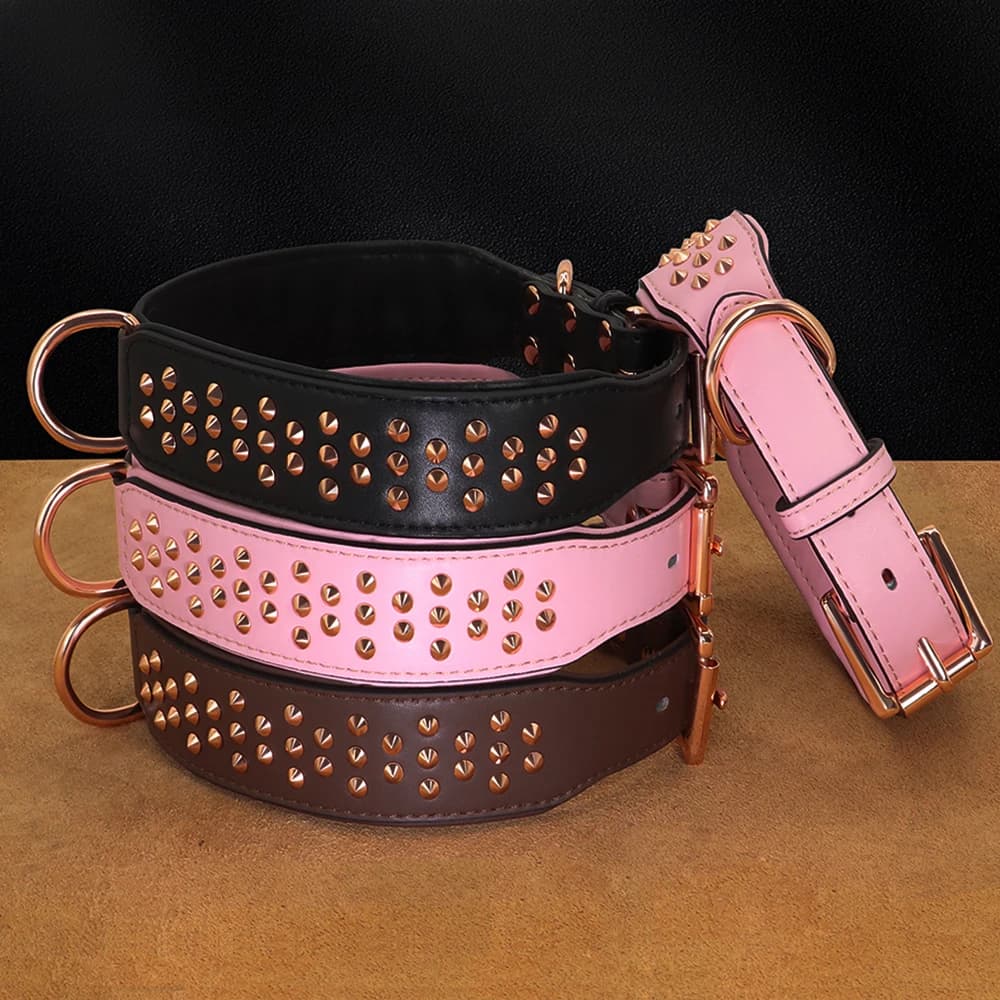 Collare regolabile in pelle per cani Cool Spikes collari per cani rivetto in metallo accessorio per animali domestici durevole per Show Play cani di medie dimensioni Pitbull