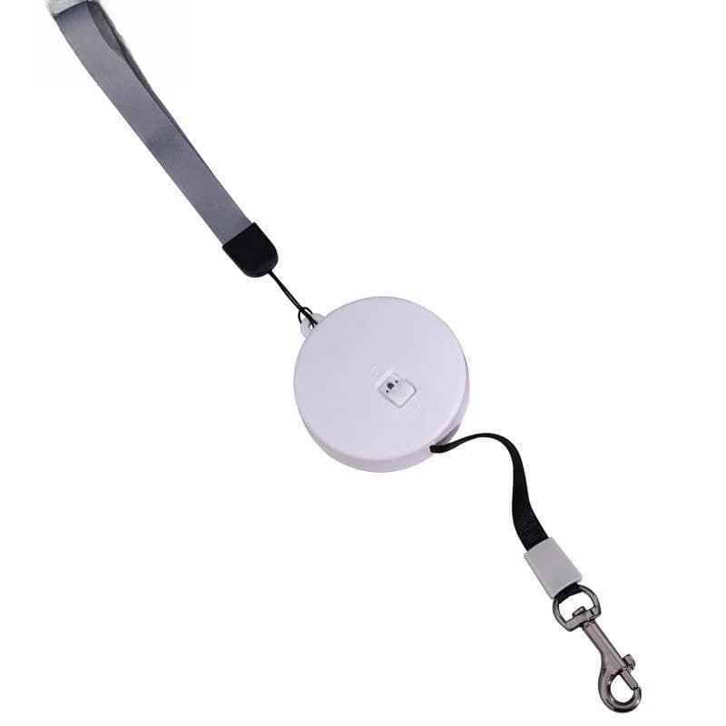 Guinzaglio Retrattile Automatico per Cani, Corda da Passeggio per Cuccioli Mini e Piccoli, Corda Estensibile per Esterni, Accessori per Animali Domestici