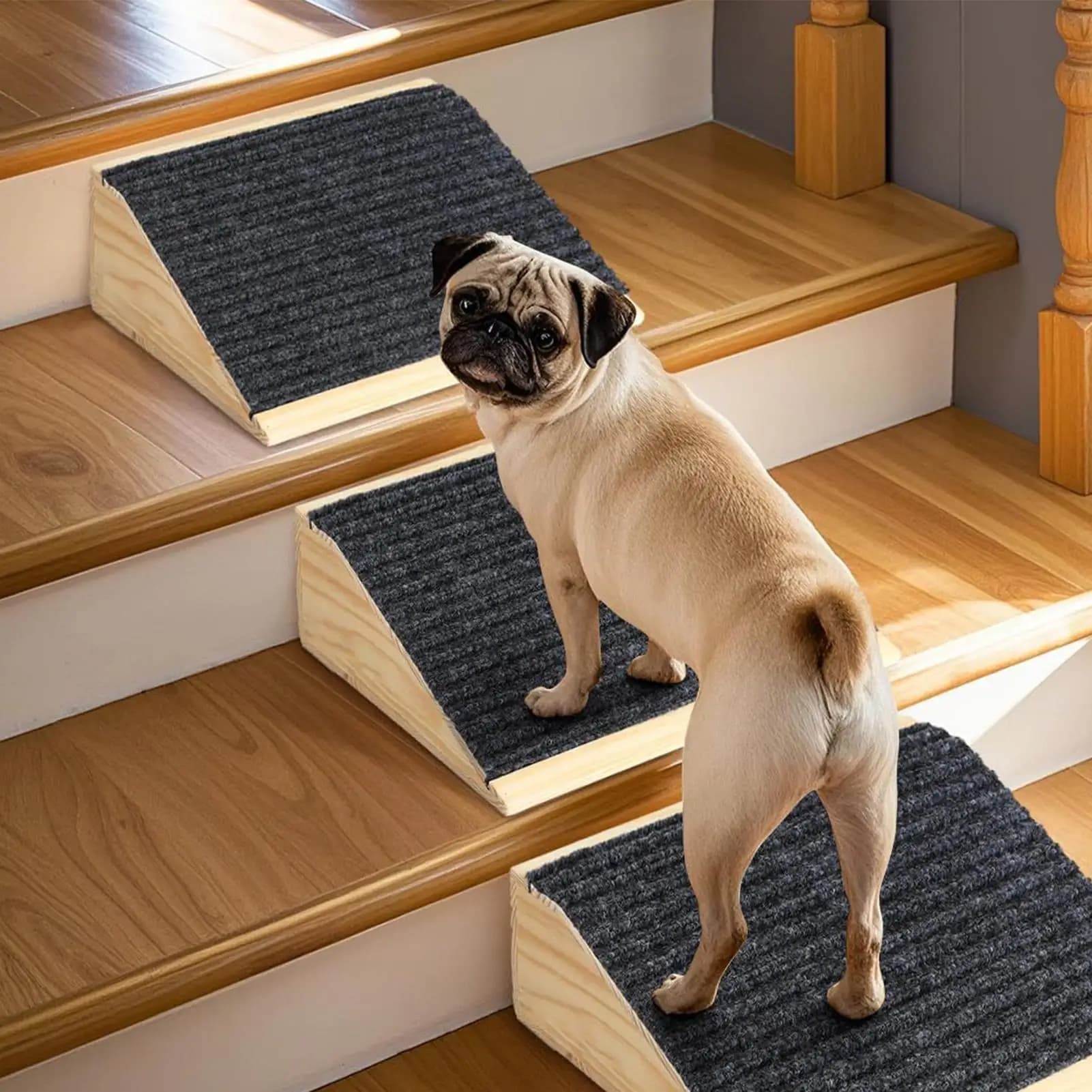 Rampa per Animali Domestici, Scala per Cani per Letto, Portatile, per Cani Infortunati e Anziani, Scalini di Sicurezza per Gatti, per Divano, Letto, Casa, Camera da Letto