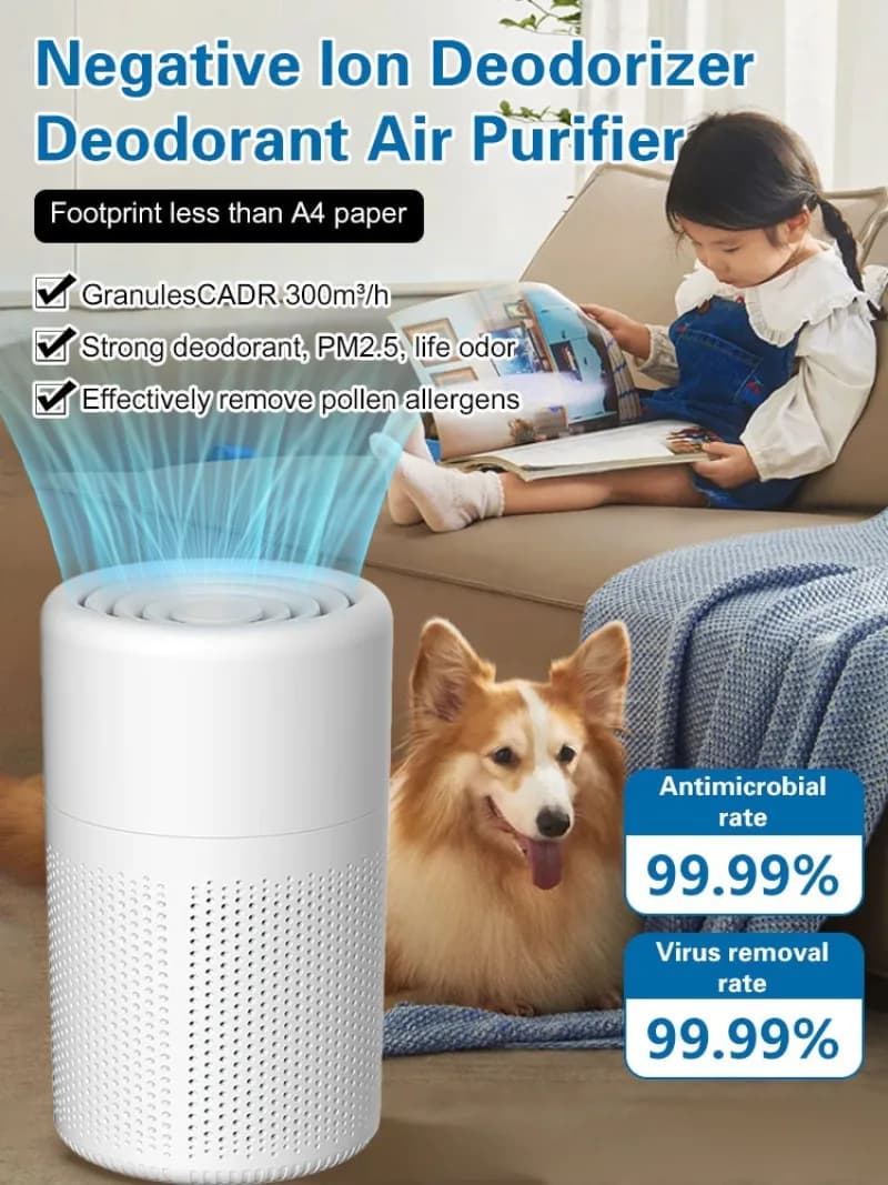 Purificatore ionizzatore d'aria domestico avanzato con funzione deodorante e rimozione degli odori Filtro dell'aria ionico per ventola di circolazione dell'aria per uso domestico