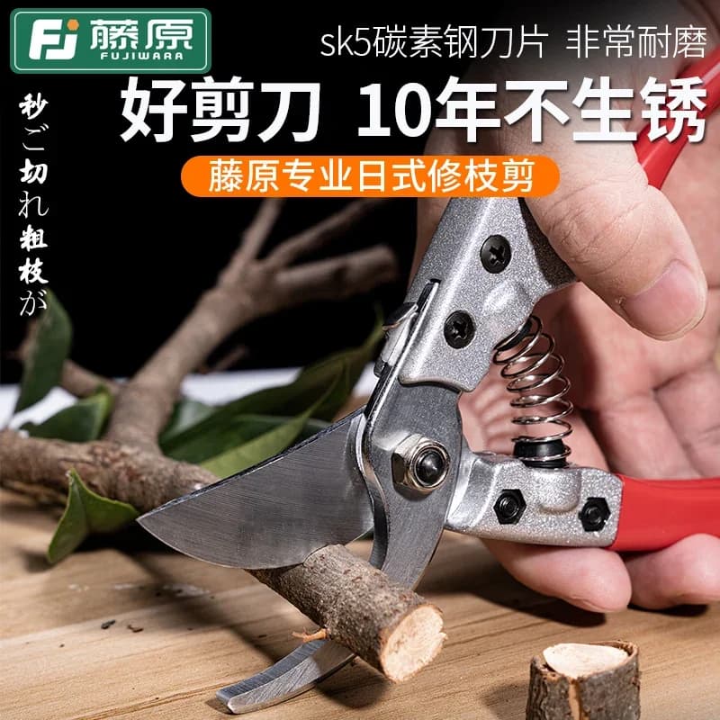 Gardening power Planting shears for fruit trees Scissors for branches Gardening Powering of branches Garden shears to save labor