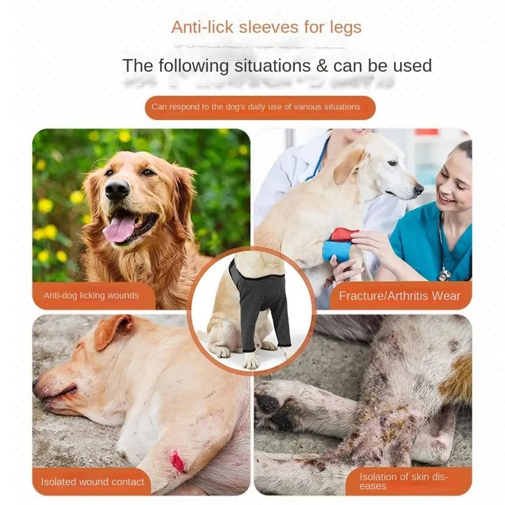 Manicotto di supporto per gamba per cani regolabile Ginocchiere morbide e traspiranti per cani Tutore di supporto per cani elastico a prova di sporco per gamba anteriore del cane