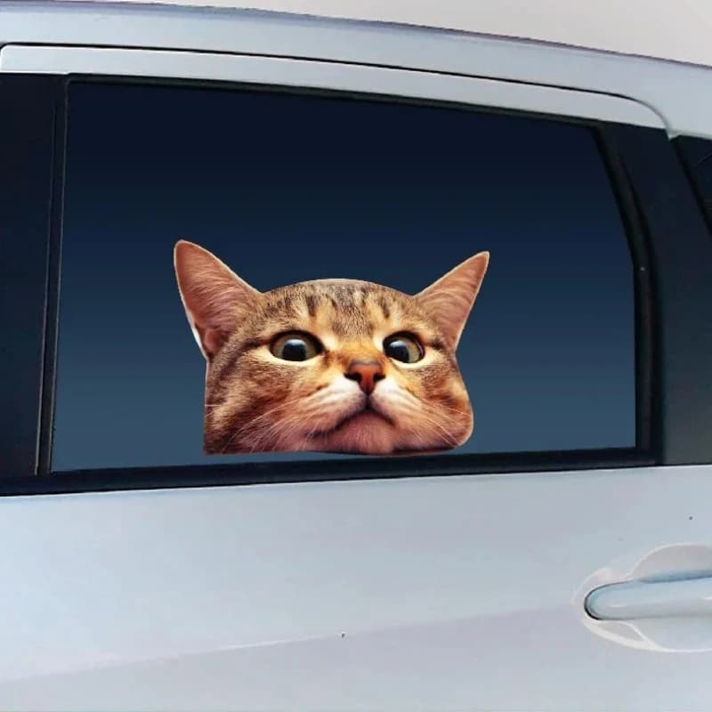 Decalcomania in vinile per finestra con gatto adorabile da 2 pezzi 13x9 cm, divertente adesivo impermeabile 3D per auto, camion, SUV, laptop