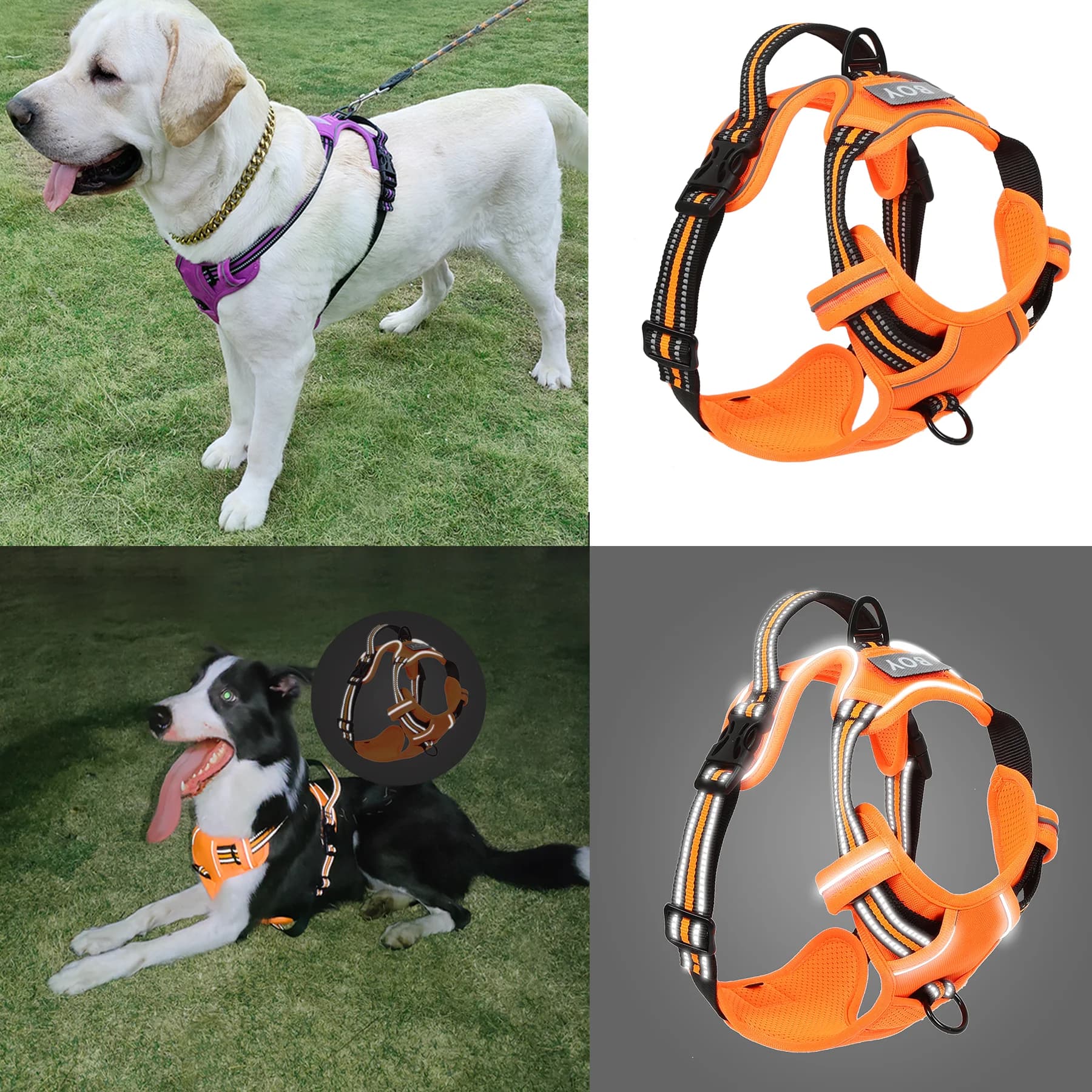 Pettorina per cani, pettorina per animali domestici con clip per guinzaglio, gilet regolabile imbottito per cani, gilet riflettente anti-soffocamento per animali domestici con targhetta identificativa gratuita