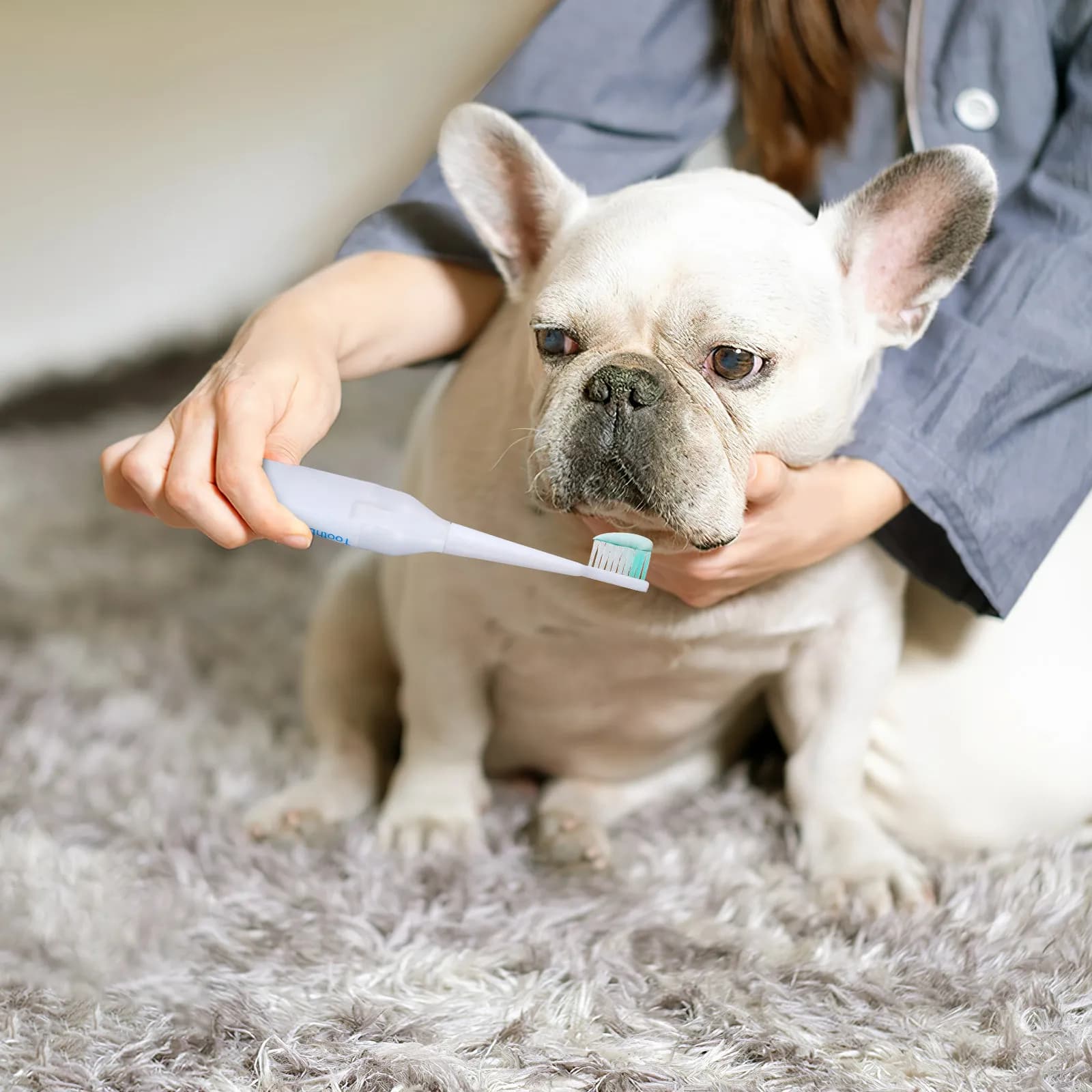 1 Pezzo Spazzolino Elettrico per Animali Domestici, Pulizia Ultrasonica Delicata su Denti e Gengive, Impermeabile, Portatile, Spazzolino da Viaggio per Cani e Gatti