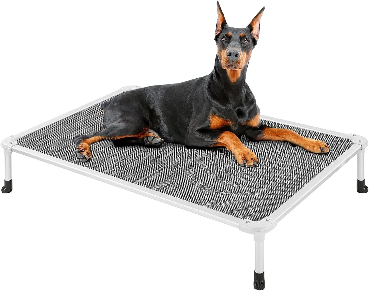 Cuccia rialzata per cani - Lettino rinfrescante anti-morso - Telaio in alluminio, rete in Textilene, piedini antiscivolo - XL