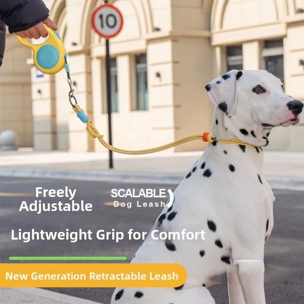 Guinzaglio Avvolgibile per Cani da 3m con Meccanismo Anti-Fuga, Guinzaglio Retrattile Durevole e Regolabile per Cani, Cintura Auto-Retrattile per Cani