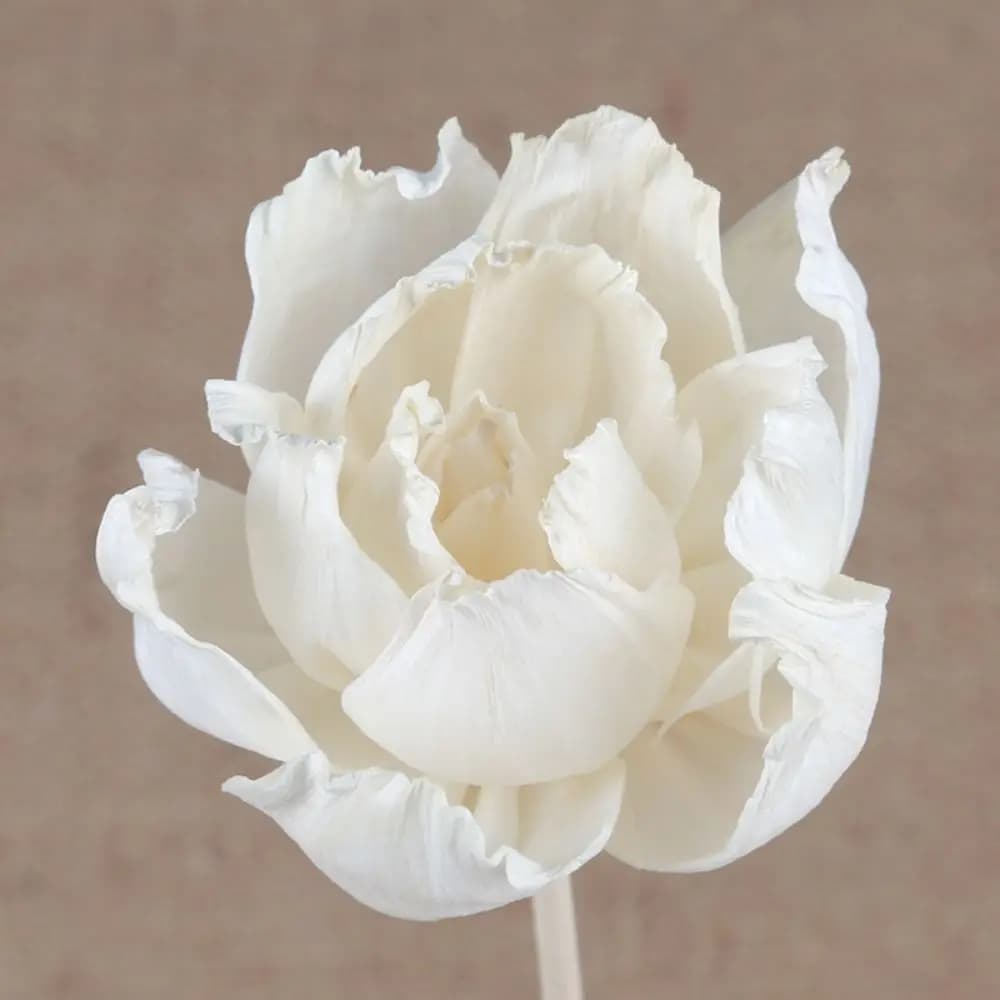 5cm Creative Natural For Aromatherapy Volatile Handmade Fragrance Diffuser Sticks Aromatic Incense Tongcao Flower Dried Flowers