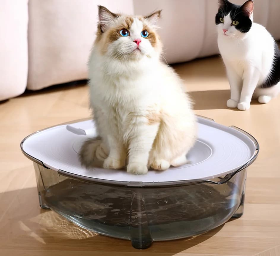 Kit per l'Addestramento al Bagno per Gatti, Lettiera Portatile Riutilizzabile, Toilette Rimovibile per Animali Domestici, Lettiera Anti-Schizzi