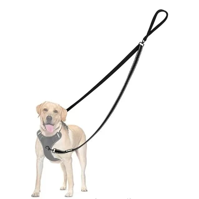 Guinzaglio per cani riflettente a due punti, guinzaglio da allenamento senza tirare, manico imbottito morbido, comodo imbracatura da passeggio compatibile