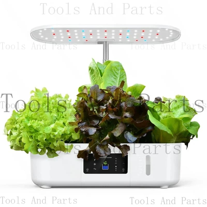Plant LED Flower Soilless Planting Sprouts Seed Hydroponic