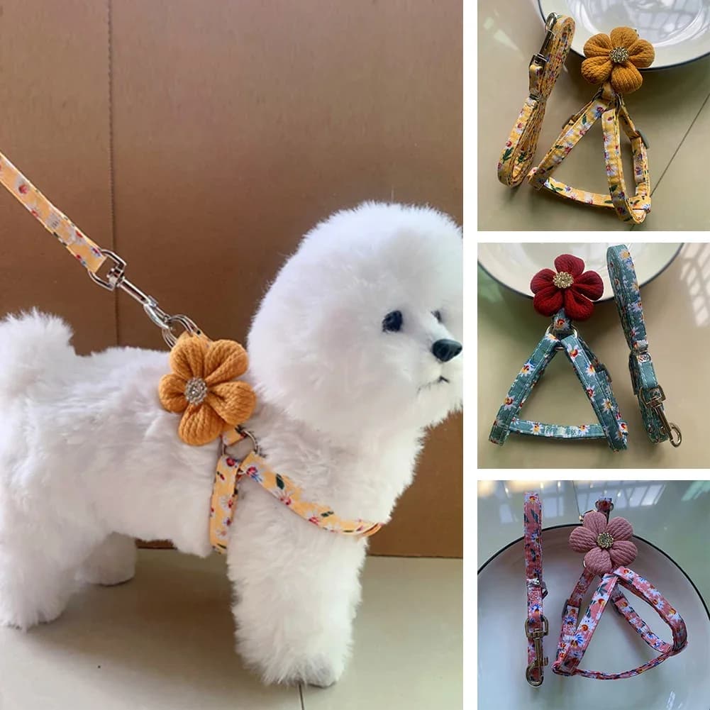 Guinzaglio per imbracatura per cani e gatti collare per gilet regolabile per cuccioli cintura per imbracatura da passeggio per cani collare per gilet per cani di taglia piccola e media