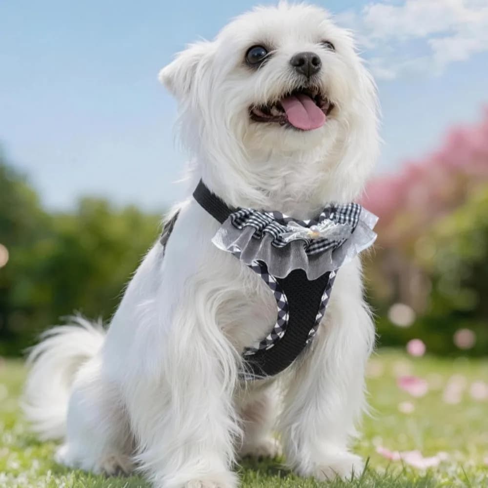 Breathable Mesh Cat Harness Leash Set Plaid Pattern Prevent Breaking Free Dog Harness Vest with Leash Comfortable