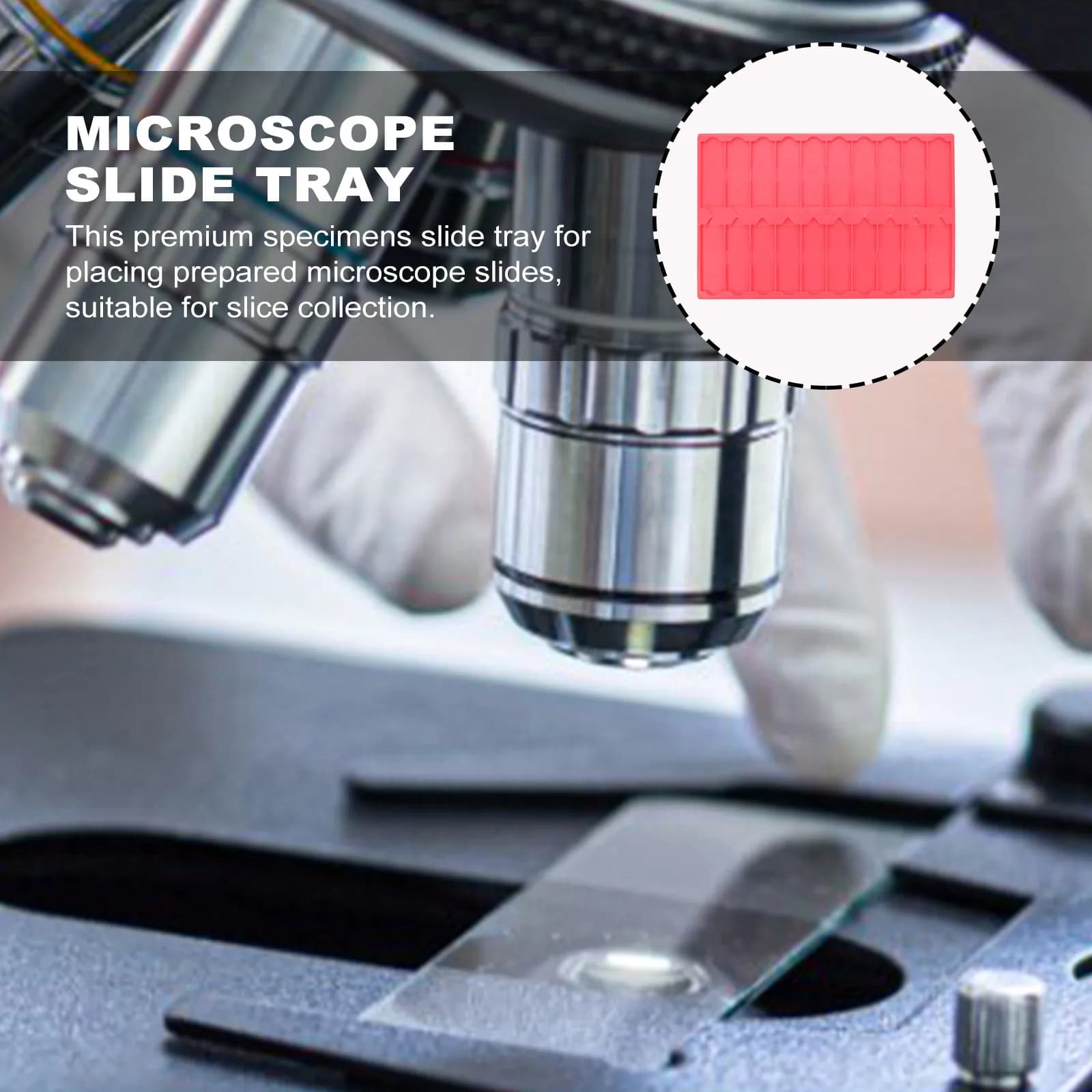 Porta-objettivi per microscopio a 20 slot, vassoio in plastica resistente per protezione e gestione della collezione, strumento scientifico
