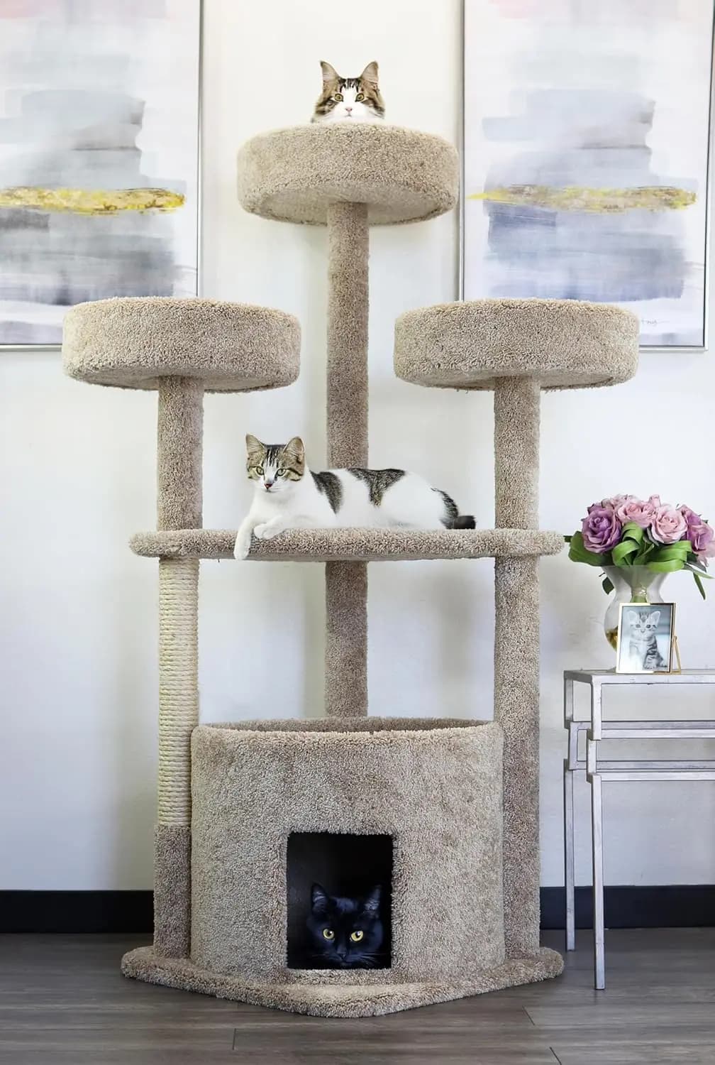Grande Albero per Gatti Color Tan con Cuccia e Tiragraffi per Maine Coon, Personalizzabile
