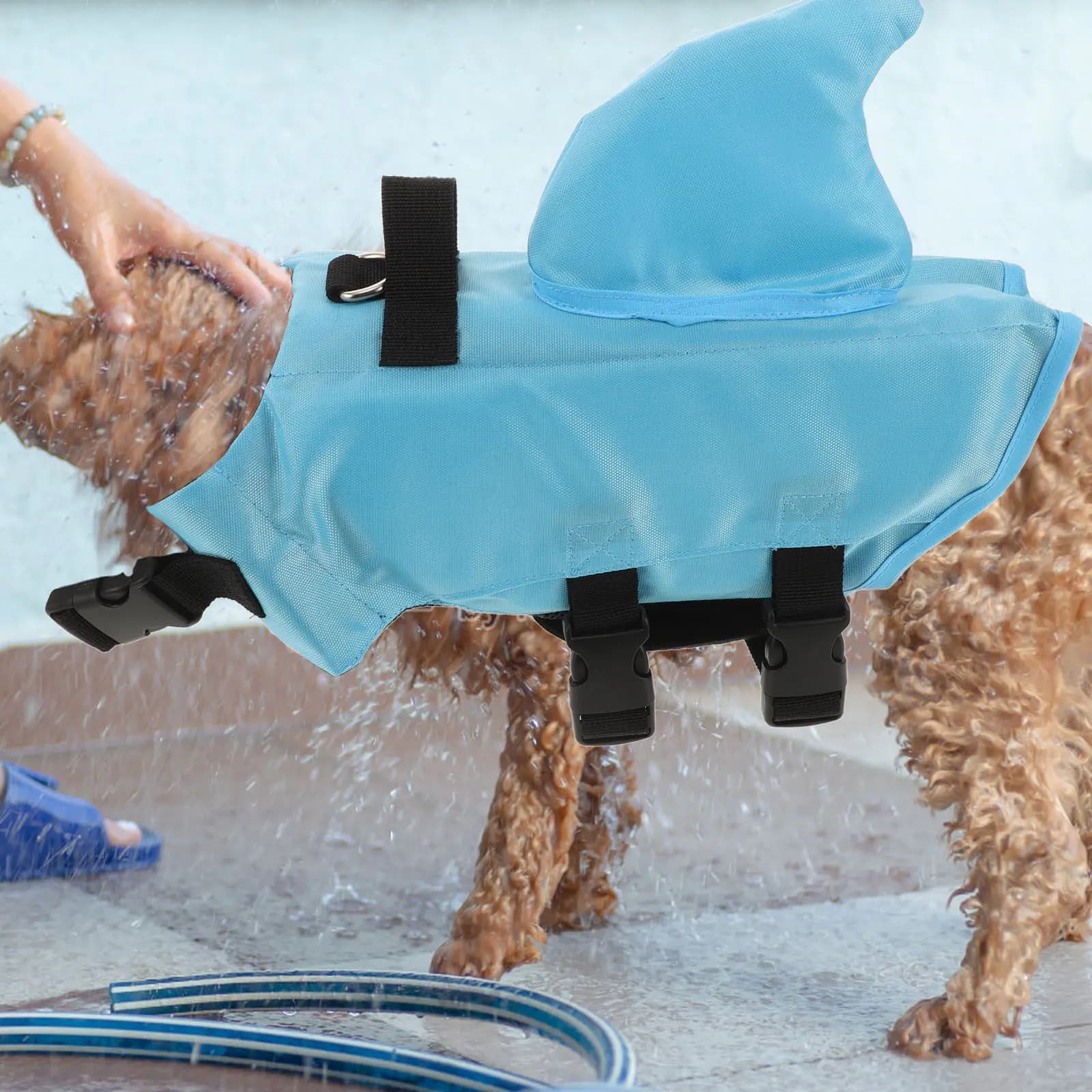 Giubbotto di Salvataggio per Cani con Design a Pinna di Squalo, Attrezzatura da Nuoto Sicura ed Elegante, Gilet Galleggiante per Cani Piccoli e Grandi, Costume da Bagno per Animali Domestici