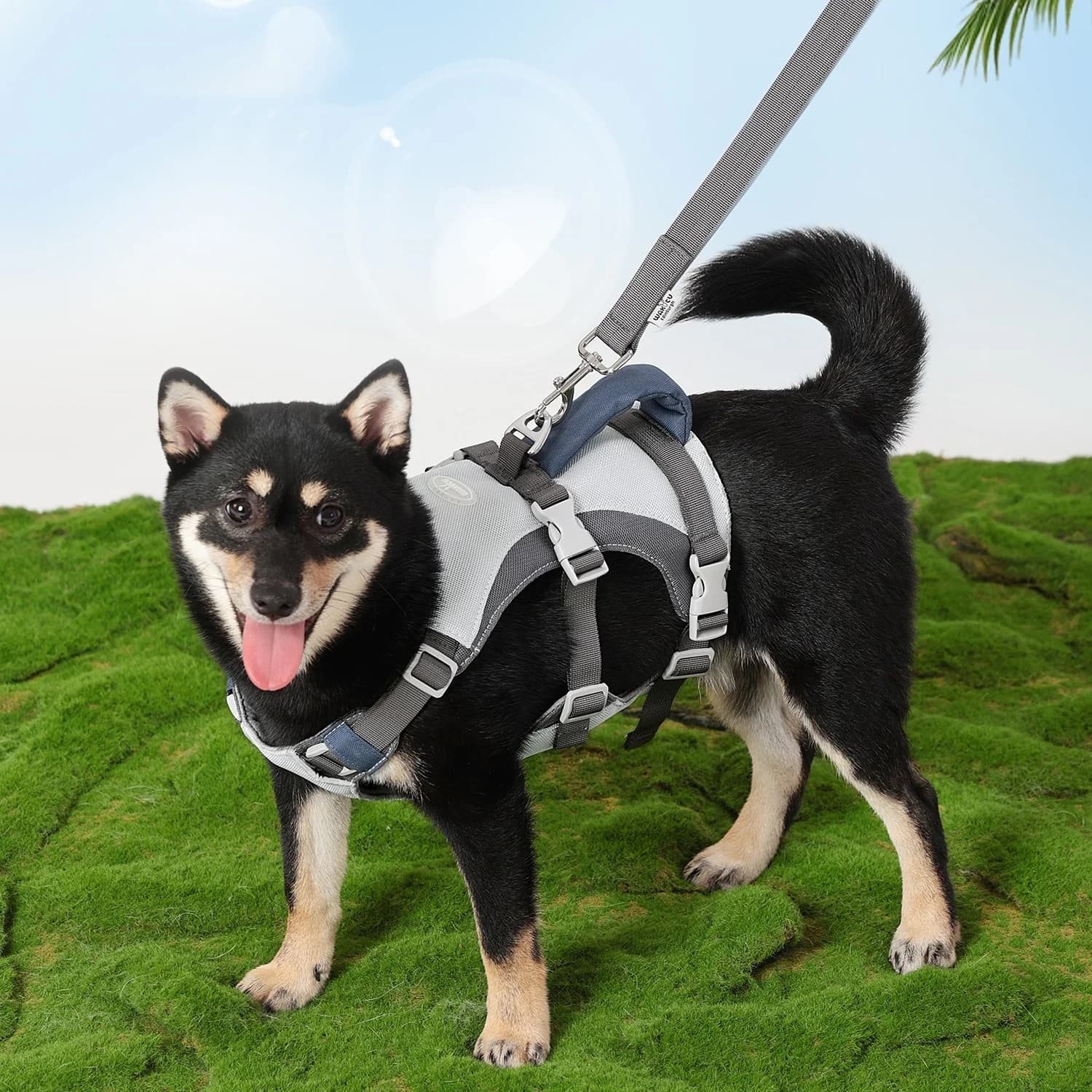 pettorina per cani con guinzaglio set gilet per cani fresco e traspirante con manico imbottito pettorina da passeggio senza tirare per cani con guinzaglio blu