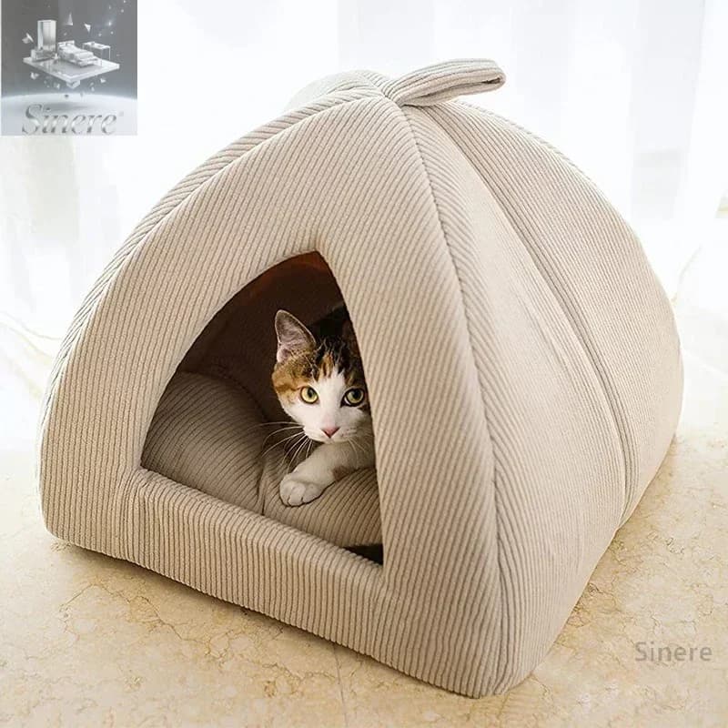 Letti per gatti Lettino di Halloween Cose calde per l'inverno Accessorio per cani Cestino Accessori per la casa Tappetino Case e habitat Prodotti per animali domestici Tutti