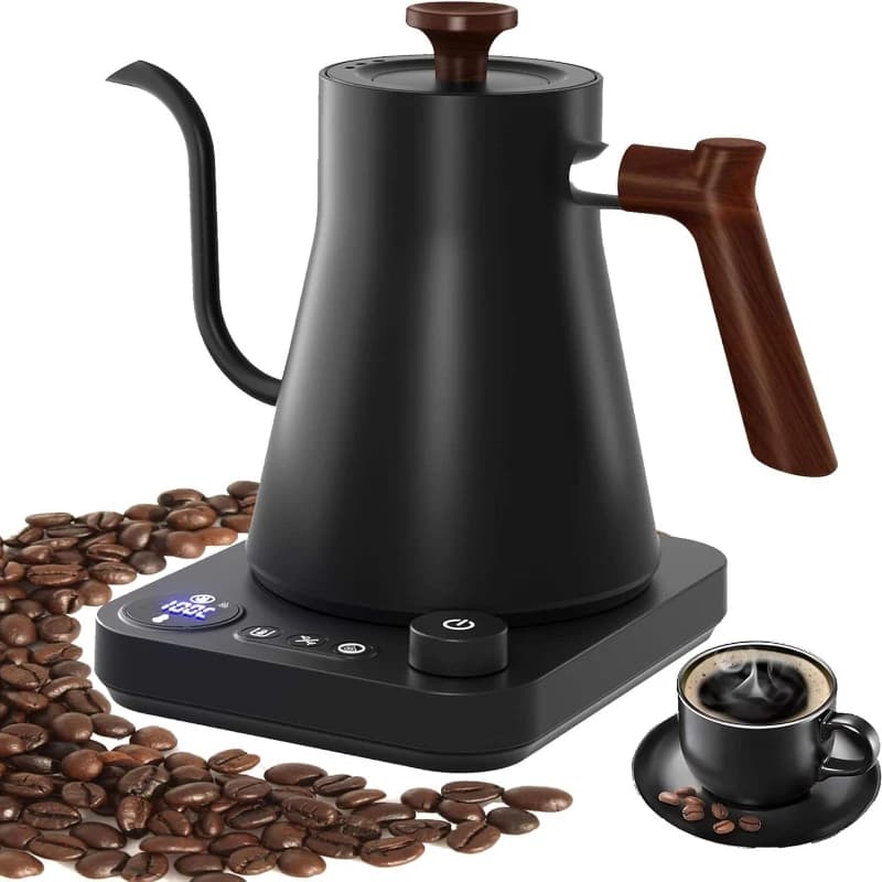 900ML Stainless Steel Hollow Electric Kettle, 1200W with Temperature Control, Ideal for Home Use