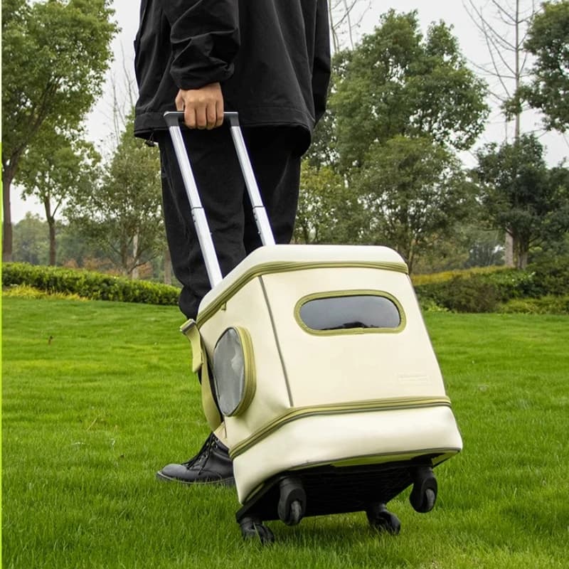 Elegante zaino da trasporto per animali domestici Borsa da viaggio pieghevole per gatti Carrello leggero per cani Comodo carrello traspirante per gatti e cuccioli