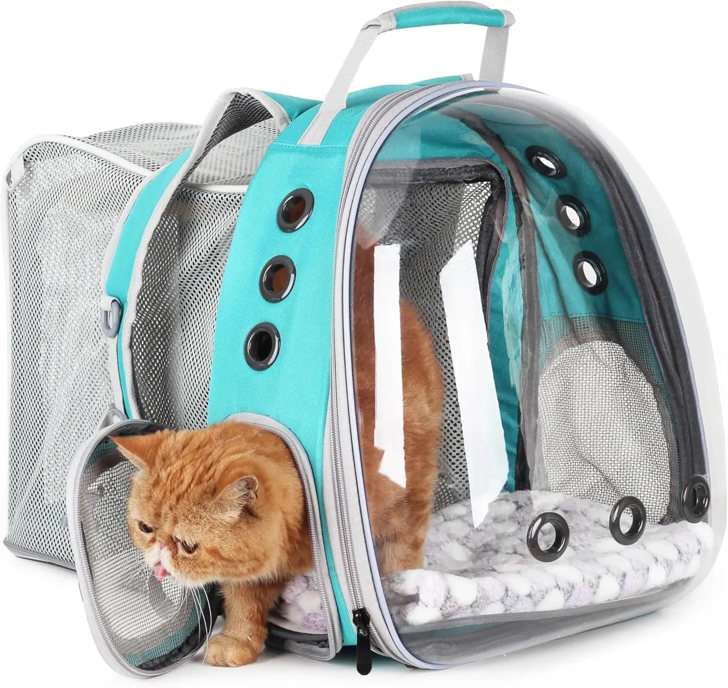 Zaino porta gatti espandibile Bubble, compagnia aerea approvata per piccoli animali domestici fino a 14 libbre, ideale per escursioni e avventure all'aria aperta
