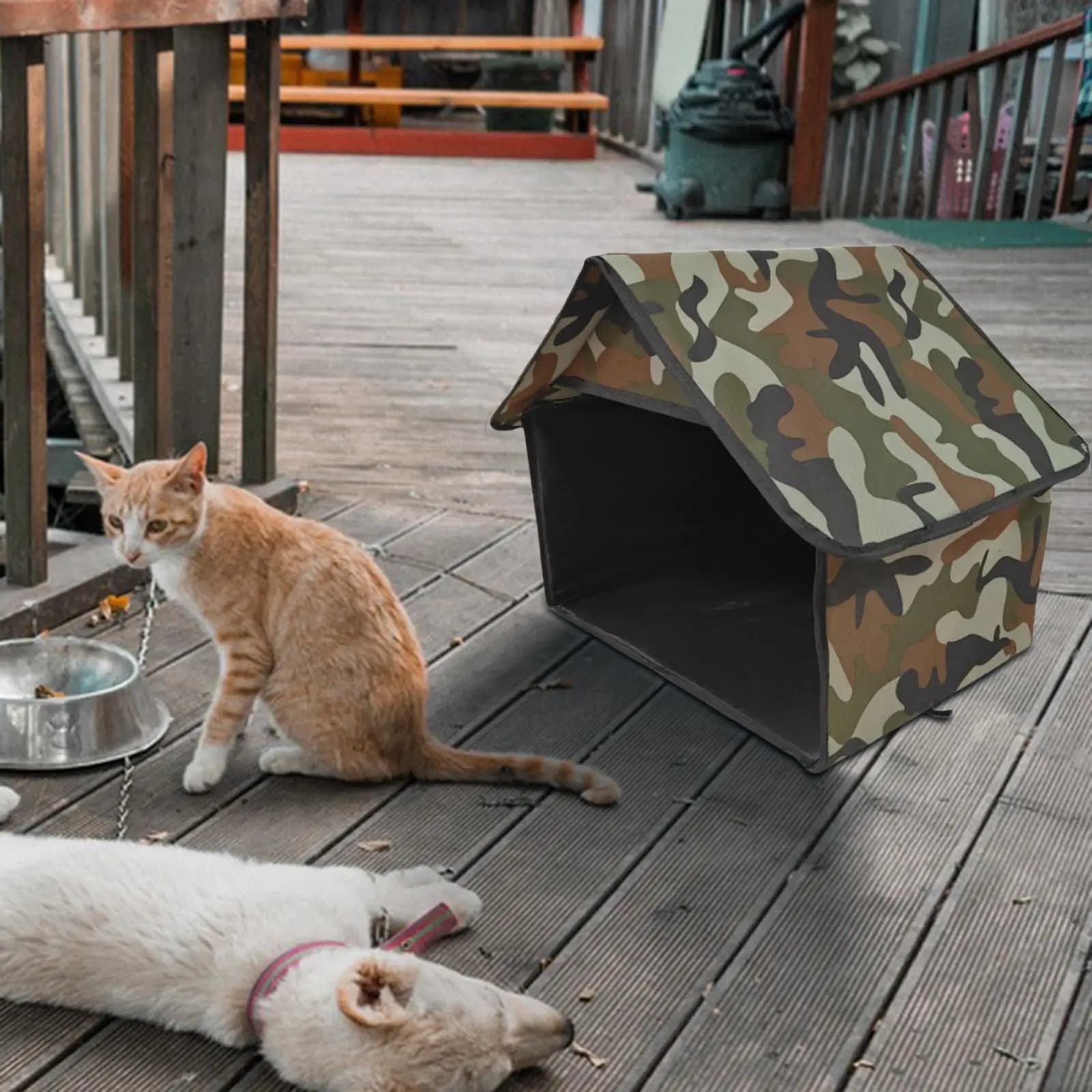 Casetta per Gatti da Esterno, Rifugio per Gatti Randagi, Cuccia per Tutte le Stagioni, Tenda per Cuccioli, Casa per Interni ed Esterni, Patio, Giardino, Fienile